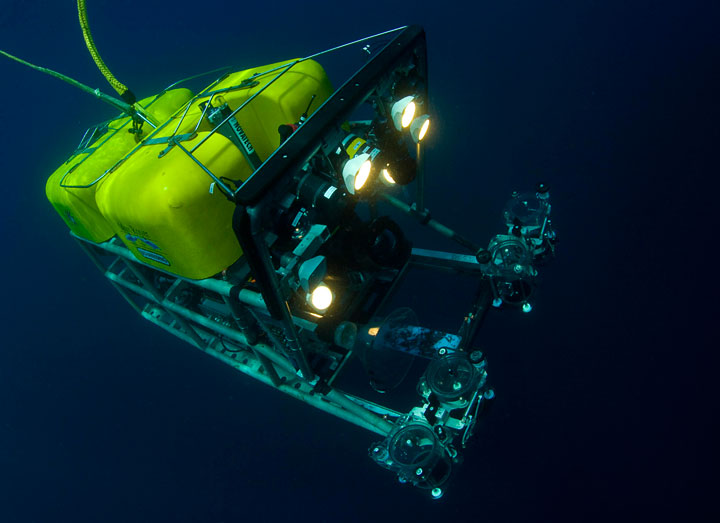 Deep Sea Fish Rov Field Support | HamdanLab
