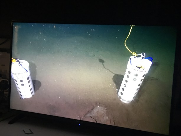 img_0365_32919356521_o